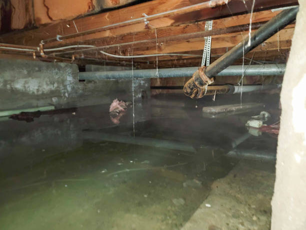 Best Fire Damage Restoration  in Lakeside Park, KY