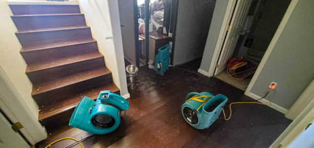 Best Flooded house restoration  in Lakeside Park, KY