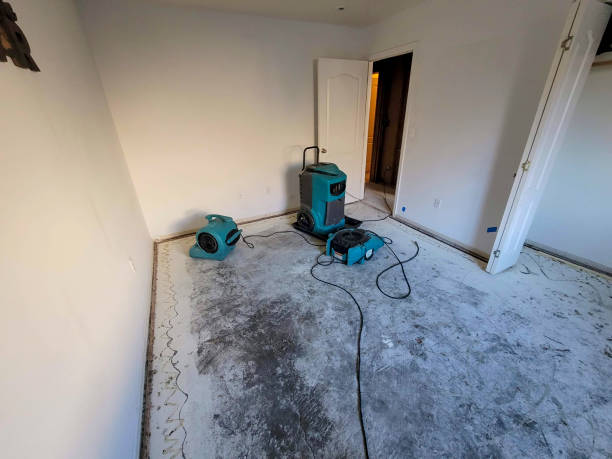Best Mold removal after water damage  in Lakeside Park, KY