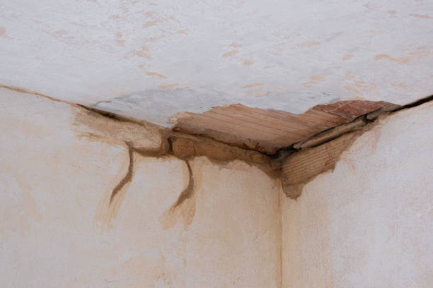 Best Professional water damage repair  in Lakeside Park, KY