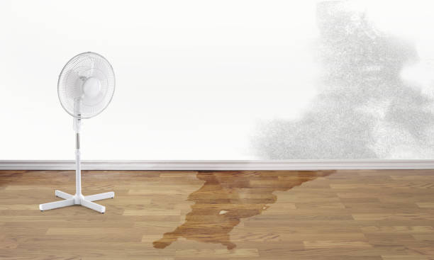 Best Sewage cleanup and water damage restoration  in Lakeside Park, KY