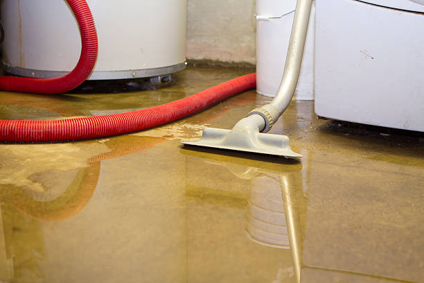  Lakeside Park, KY Water damage restoration Pros