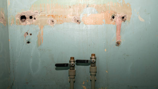 Best Water damage contractors near me  in Lakeside Park, KY