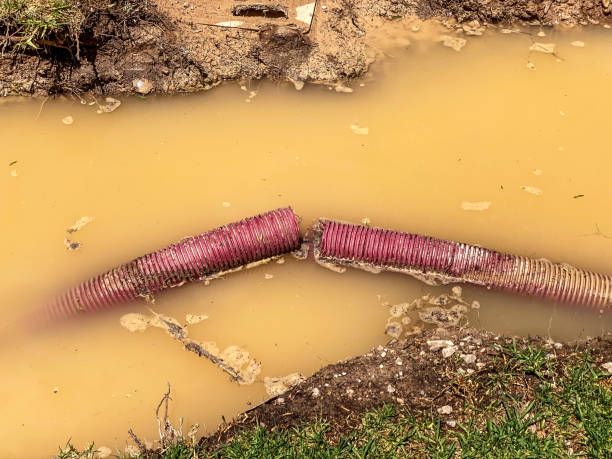 Professional Water damage restoration in KY