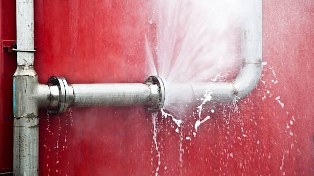 Best Professional water damage repair  in Lakeside Park, KY